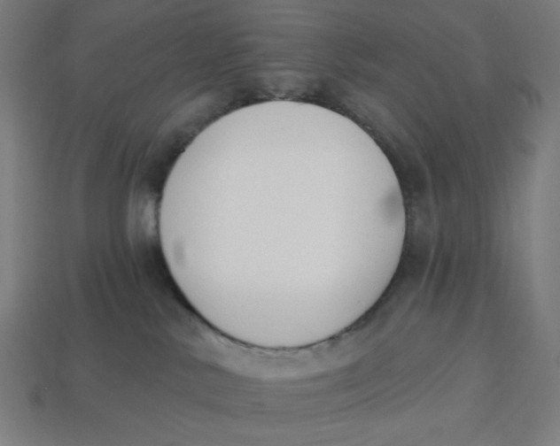 X0000113360042200910061049