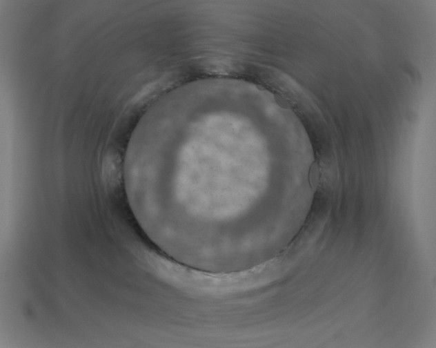 X0000113360043200910061049