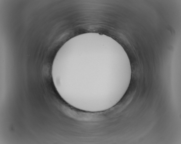 X0000113360044200910061049