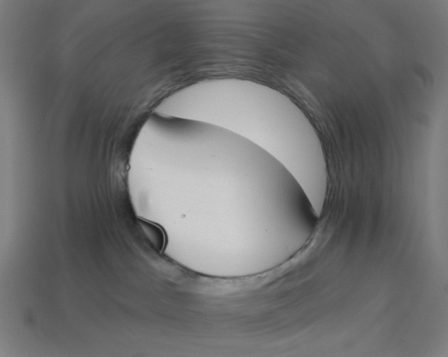 X0000113360045200910061049