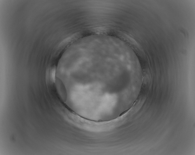 X0000113360047200910061049