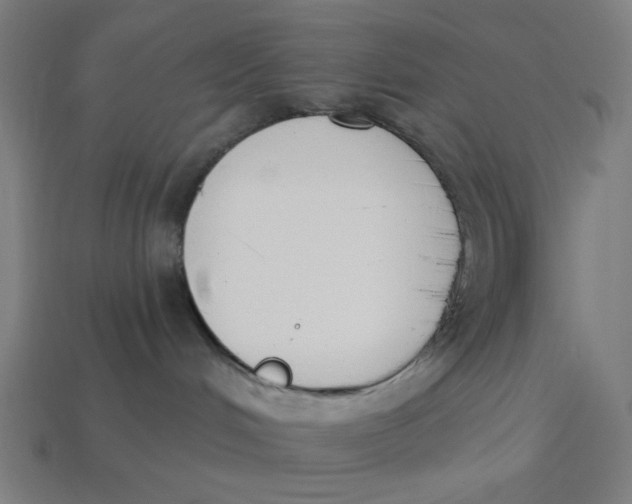 X0000113360048200910061049