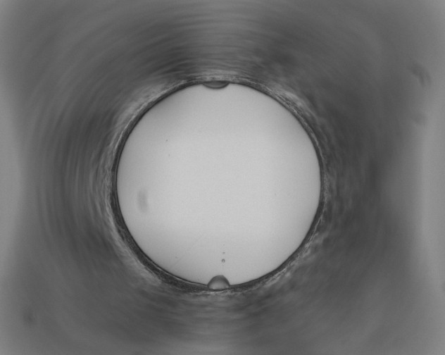 X0000113360049200910061048