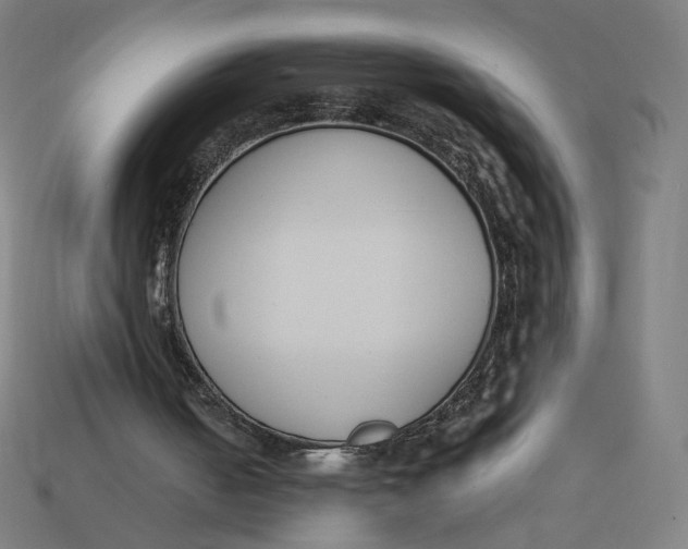 X0000113360050200910061048