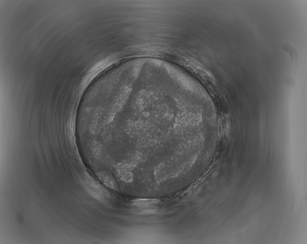 X0000113360051200910061048