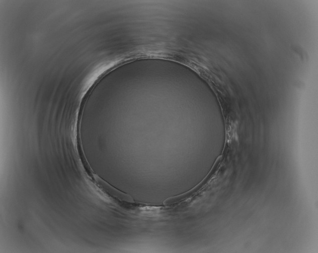 X0000113360052200910061048