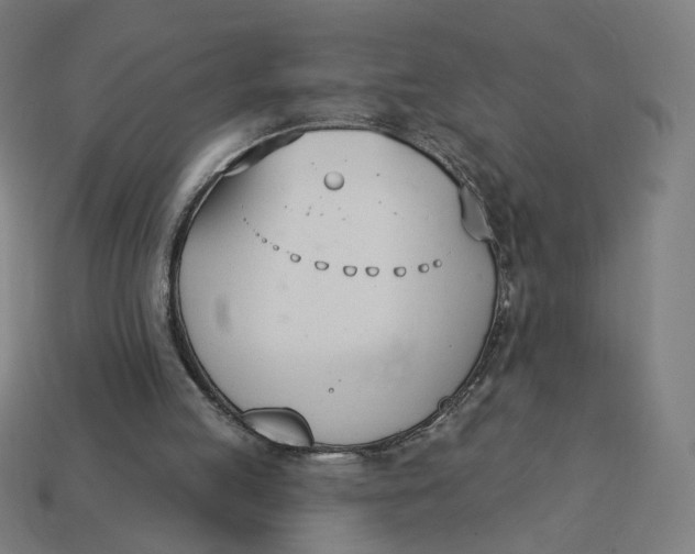 X0000113360053200910061048