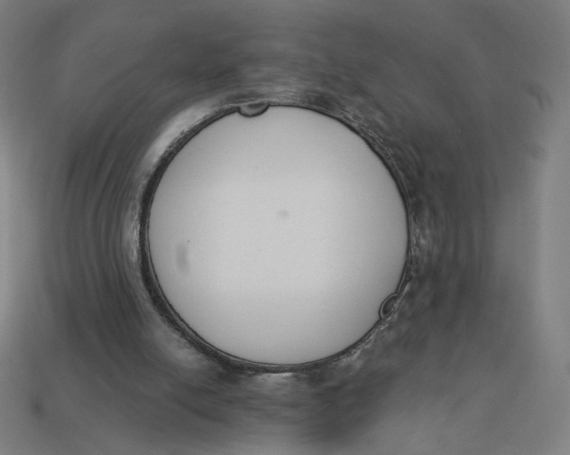 X0000113360054200910061048