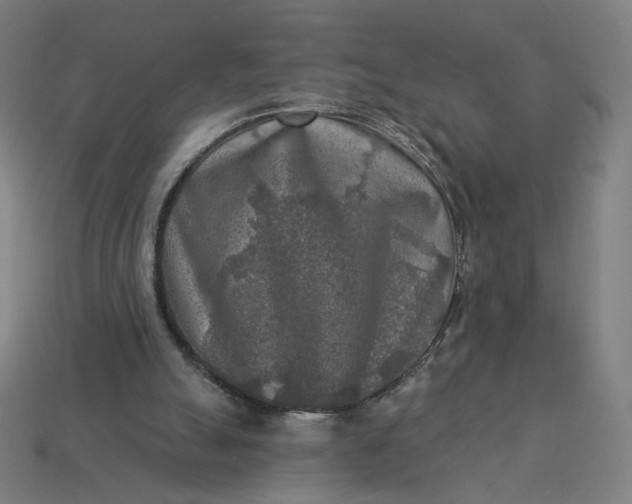 X0000113360055200910061048