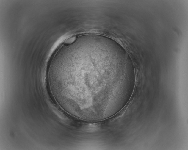 X0000113360056200910061048