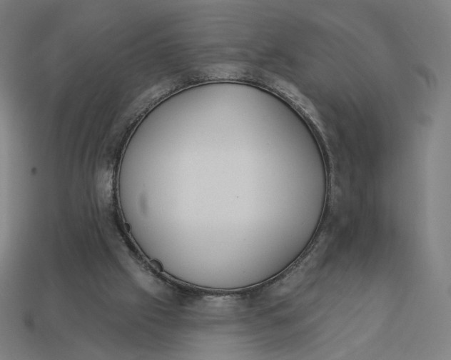 X0000113360057200910061048