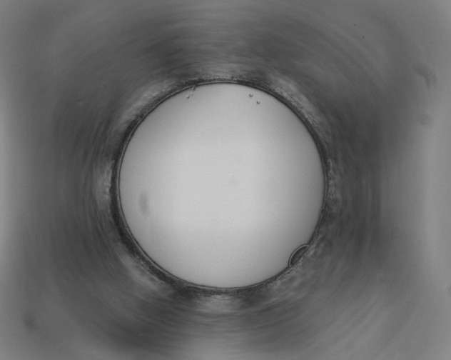 X0000113360058200910061048