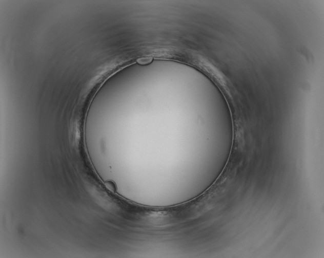 X0000113360059200910061048