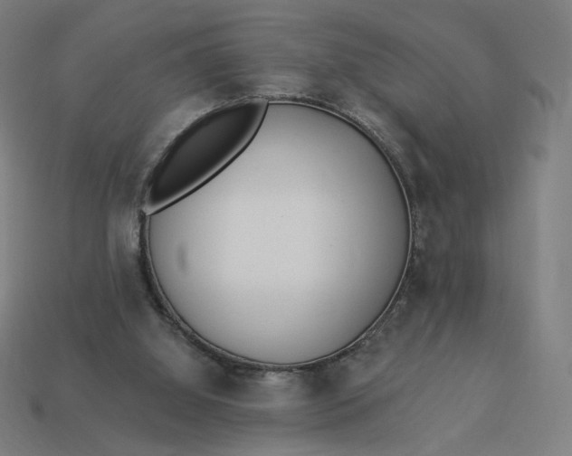 X0000113360060200910061048