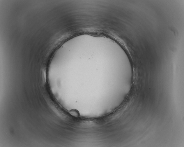 X0000113360061200910061048