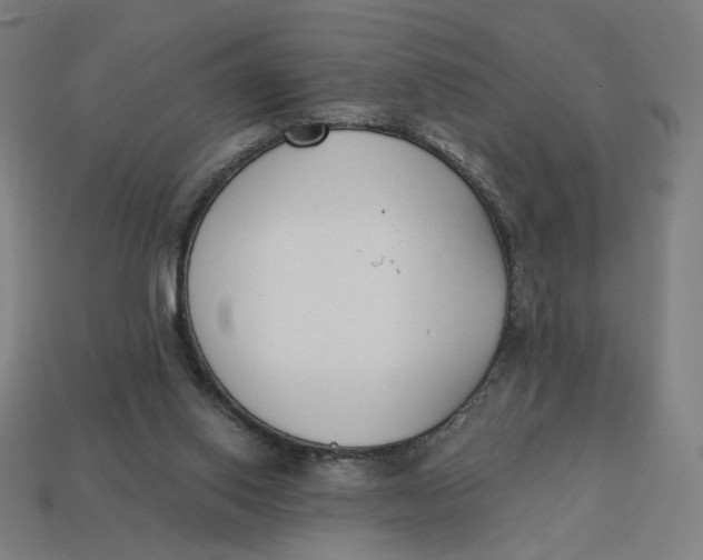 X0000113360062200910061048