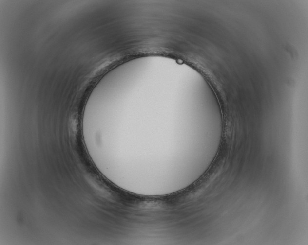 X0000113360063200910061048