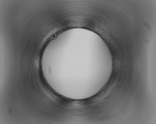 X0000113360064200910061048