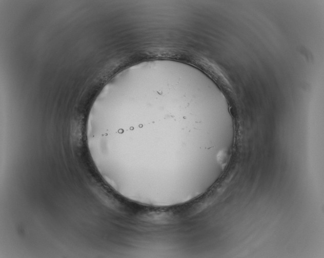 X0000113360065200910061048