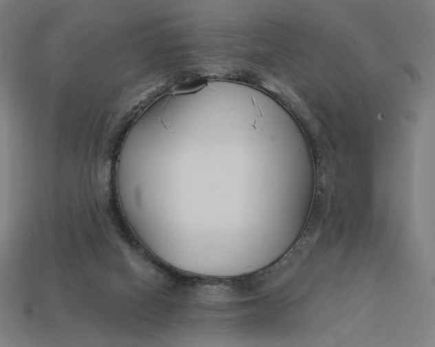 X0000113360066200910061048