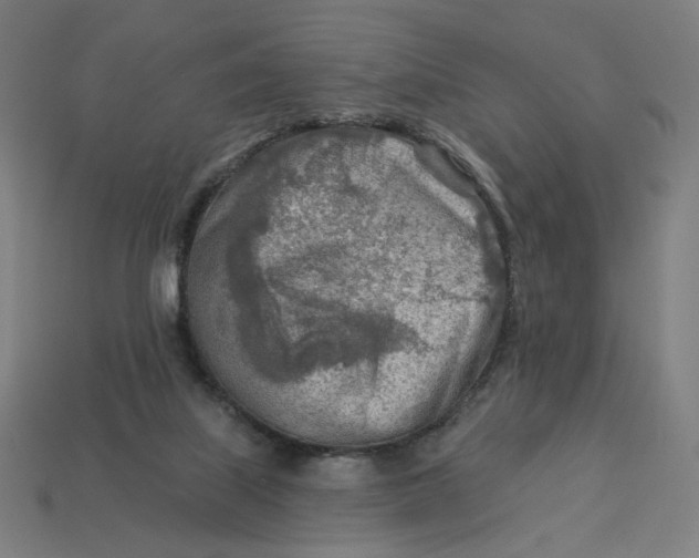 X0000113360067200910061048