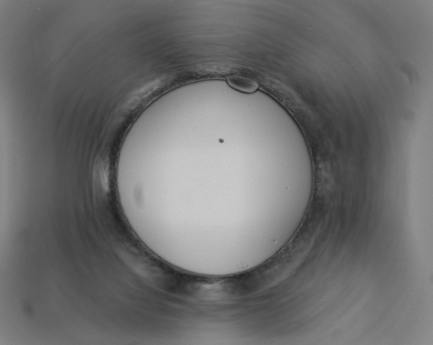 X0000113360068200910061048