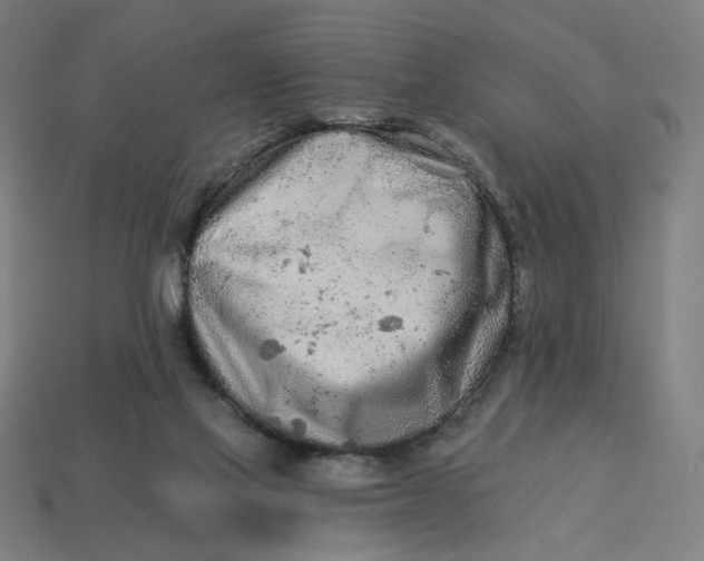 X0000113360069200910061048