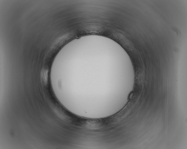 X0000113360070200910061048