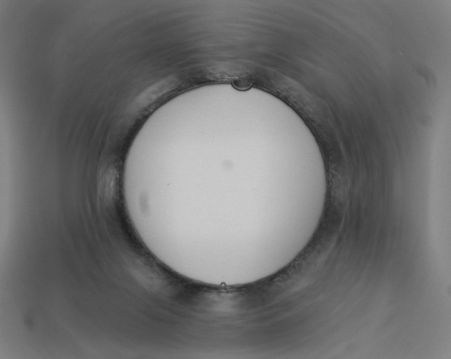 X0000113360071200910061048