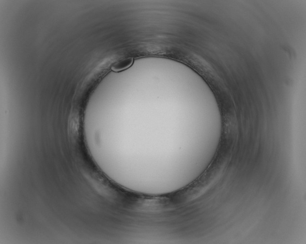 X0000113360072200910061048