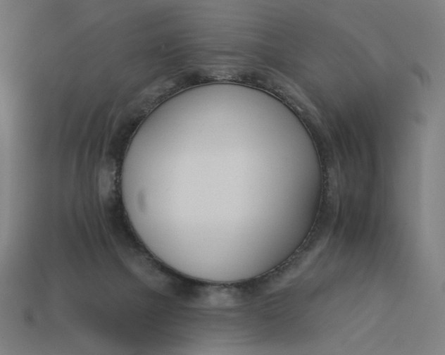 X0000113360073200910061048