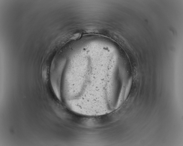 X0000113360074200910061048