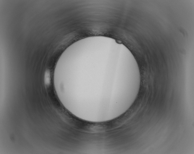 X0000113360075200910061048