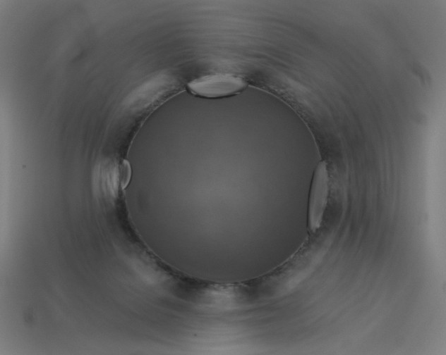 X0000113360076200910061048