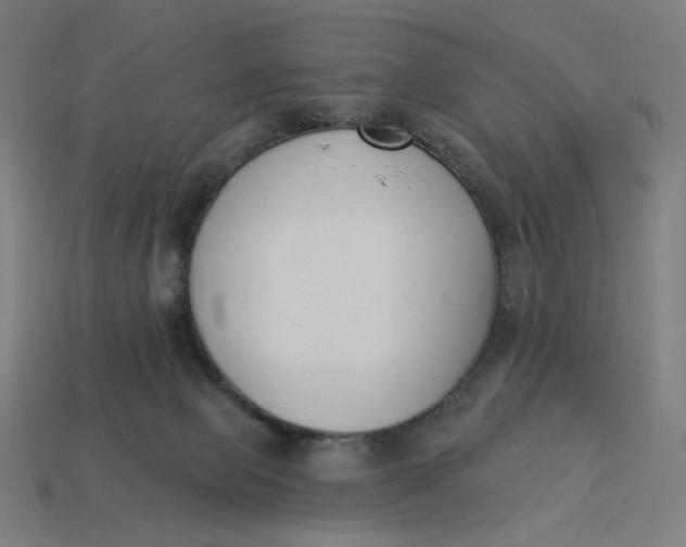 X0000113360077200910061048