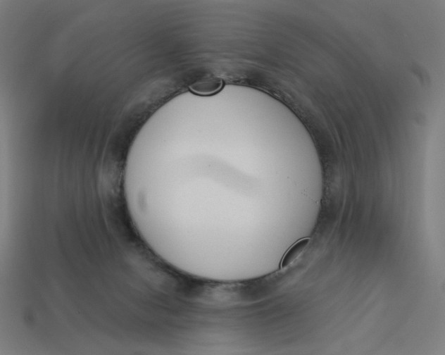 X0000113360078200910061048