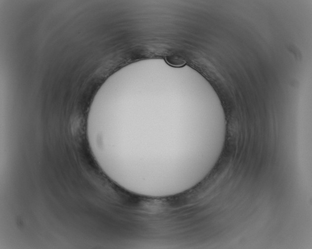 X0000113360079200910061048