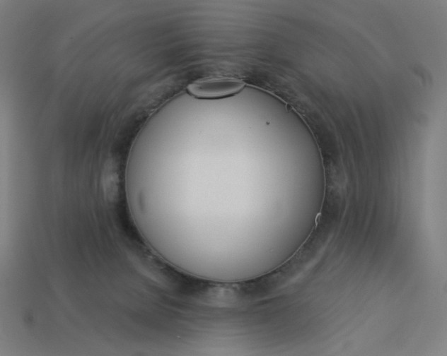 X0000113360080200910061048