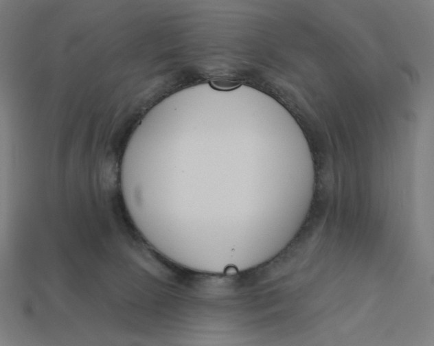 X0000113360081200910061048