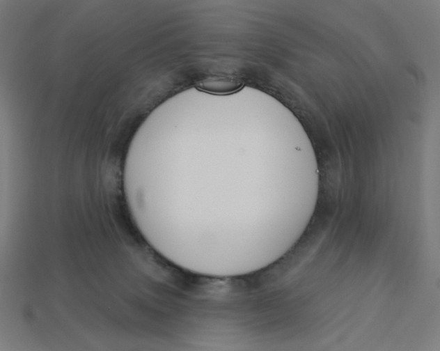 X0000113360083200910061048