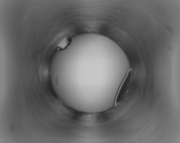 X0000113360084200910061048