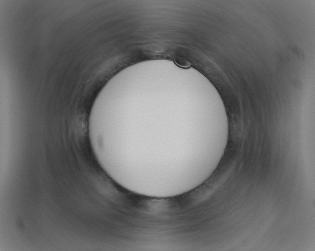 X0000113360085200910061048