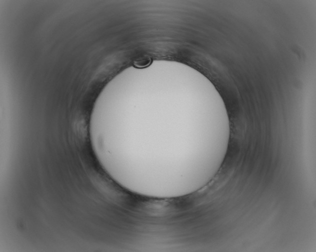 X0000113360086200910061049