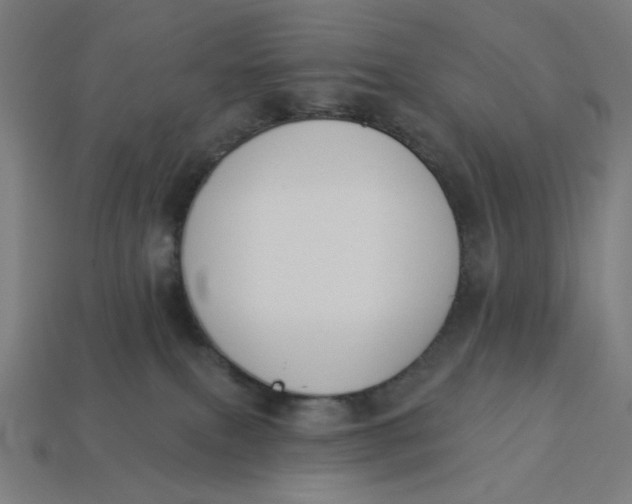 X0000113360087200910061049