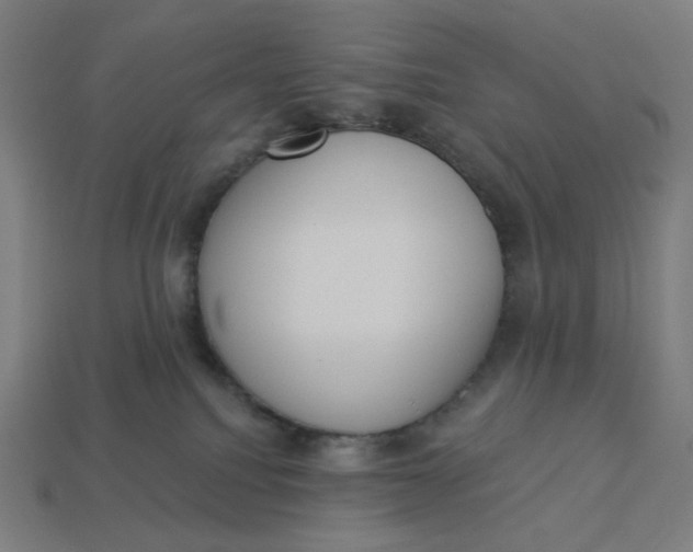 X0000113360088200910061049