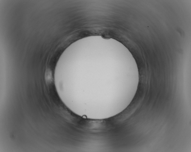 X0000113360089200910061049