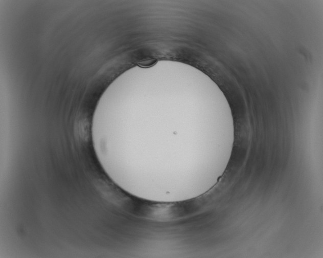 X0000113360090200910061049