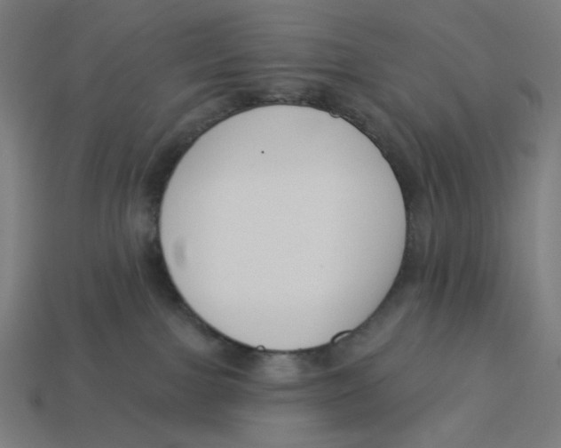 X0000113360091200910061049