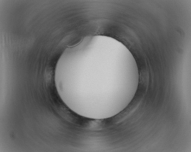 X0000113360092200910061049