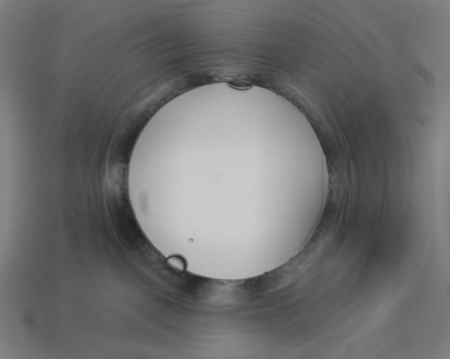 X0000113360093200910061049